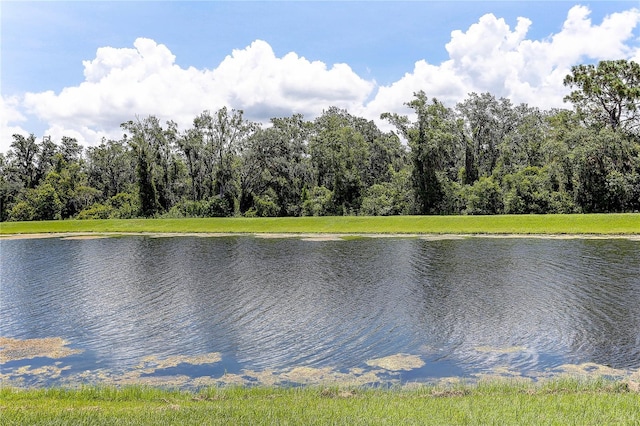 17218 White Mangrove Dr, Wimauma, FL 33598 - photo 8