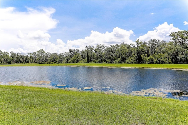 17218 White Mangrove Dr, Wimauma, FL 33598 - photo 9