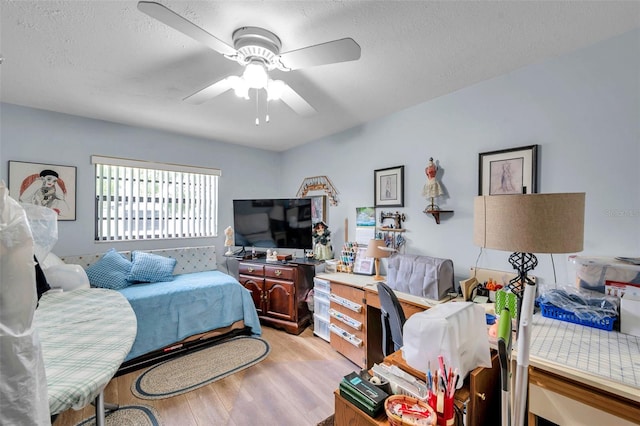 2521 Krueger Ln, Tampa, FL 33618 - photo 11
