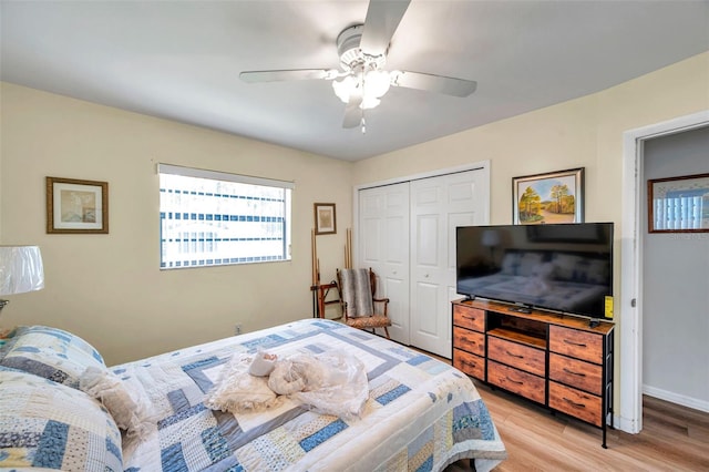 2521 Krueger Ln, Tampa, FL 33618 - photo 14