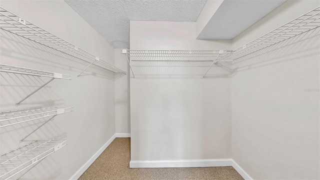 2700 Coconut Bay Ln Unit 427, Sarasota, FL 34237 - photo 18