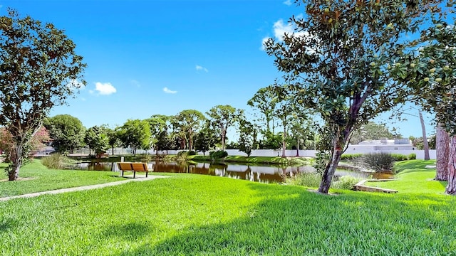 2700 Coconut Bay Ln Unit 427, Sarasota, FL 34237 - photo 31
