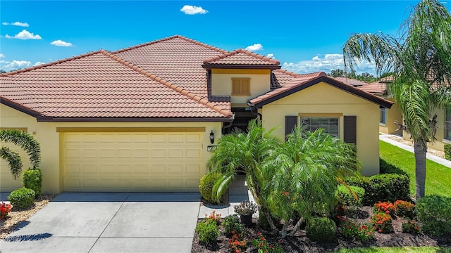 5440 Sunset Falls Dr, Apollo Beach, FL 33572 - photo 4