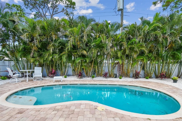 4500 Helena St NE, Saint Petersburg, FL 33703 - photo 31