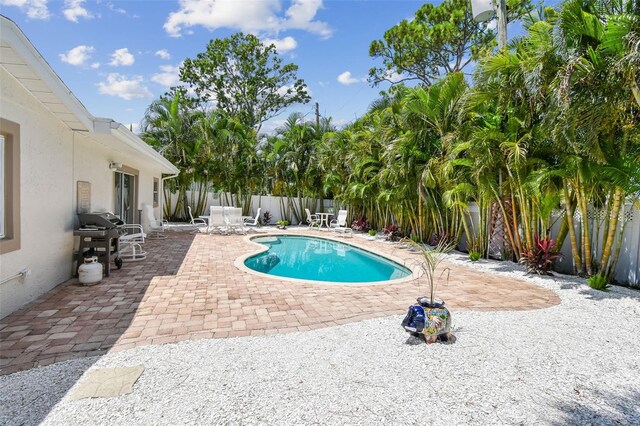 4500 Helena St NE, Saint Petersburg, FL 33703 - photo 35
