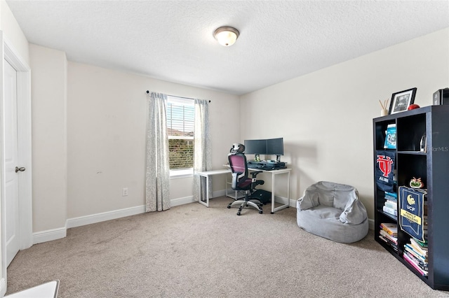 10230 Newel Valley Loop, Riverview, FL 33569 - photo 23