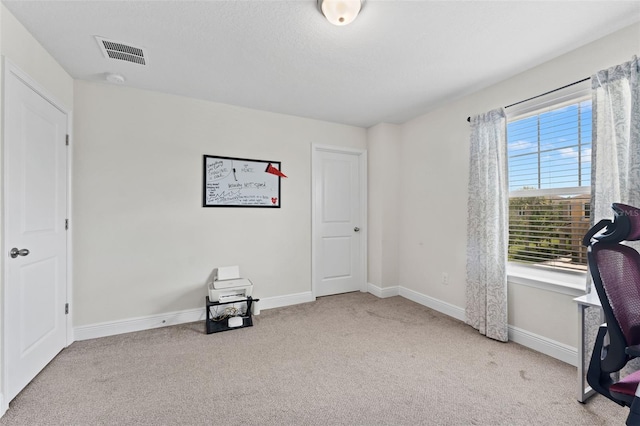 10230 Newel Valley Loop, Riverview, FL 33569 - photo 24