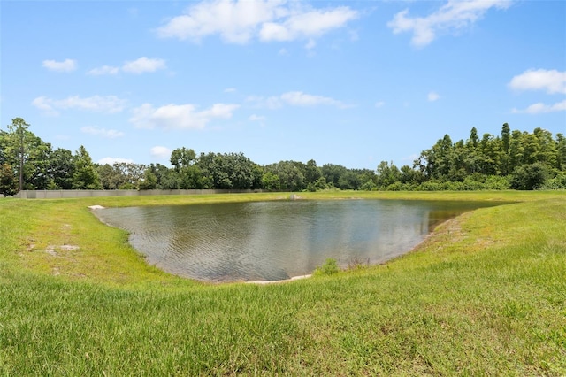 10230 Newel Valley Loop, Riverview, FL 33569 - photo 33