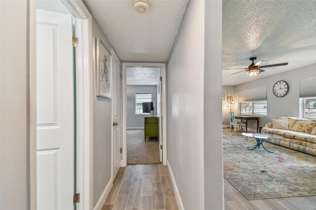 5286 81st St N Unit 26, Saint Petersburg, FL 33709 - photo 12