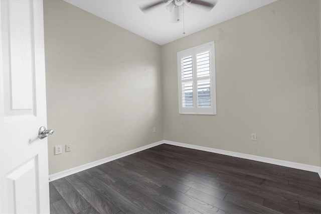 12631 Weston Dr, Tampa, FL 33626 - photo 21