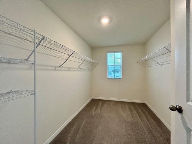 3842 Calamity Ter, Bradenton, FL 34208 - photo 19