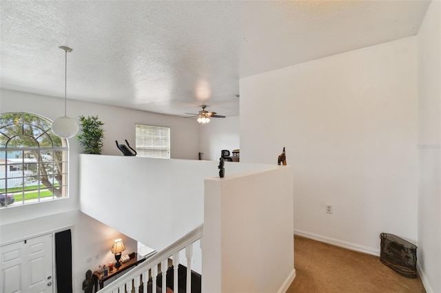 3142 Bellericay Ln, Land O Lakes, FL 34638 - photo 17