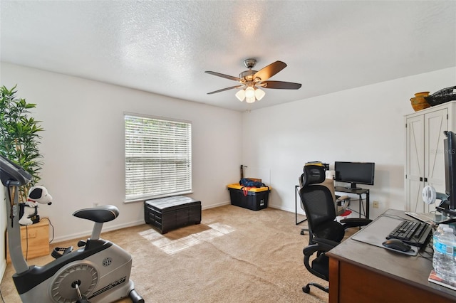 3142 Bellericay Ln, Land O Lakes, FL 34638 - photo 18