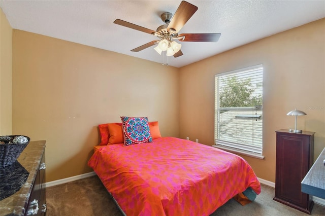 3142 Bellericay Ln, Land O Lakes, FL 34638 - photo 27