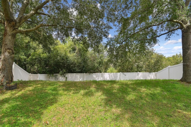 3142 Bellericay Ln, Land O Lakes, FL 34638 - photo 33