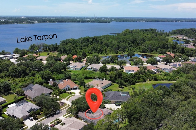4477 Lavender Dr, Palm Harbor, FL 34685 - photo 2