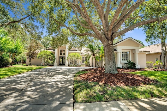 4477 Lavender Dr, Palm Harbor, FL 34685 - photo 4