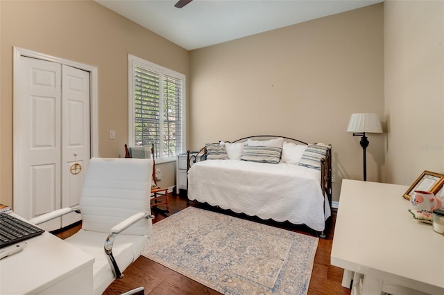 4477 Lavender Dr, Palm Harbor, FL 34685 - photo 33