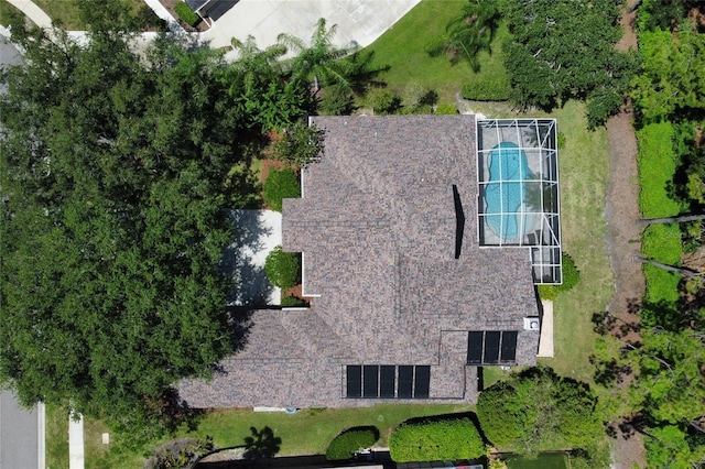 4477 Lavender Dr, Palm Harbor, FL 34685 - photo 47