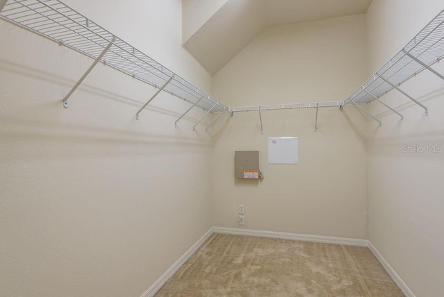 4515 Fieldview Cir, Wesley Chapel, FL 33545 - photo 28