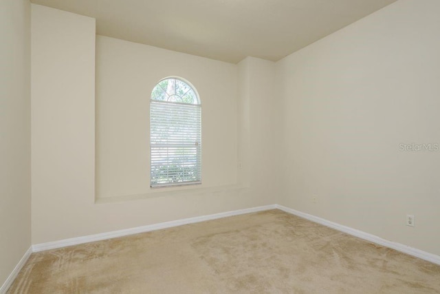 4515 Fieldview Cir, Wesley Chapel, FL 33545 - photo 29