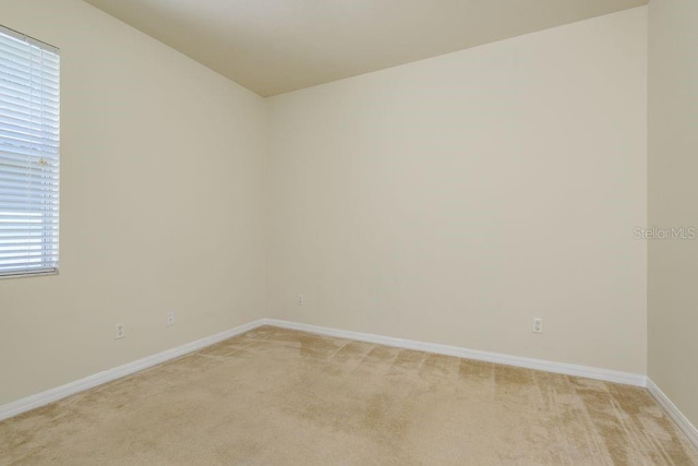 4515 Fieldview Cir, Wesley Chapel, FL 33545 - photo 32
