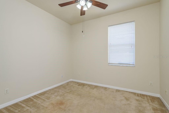 4515 Fieldview Cir, Wesley Chapel, FL 33545 - photo 34