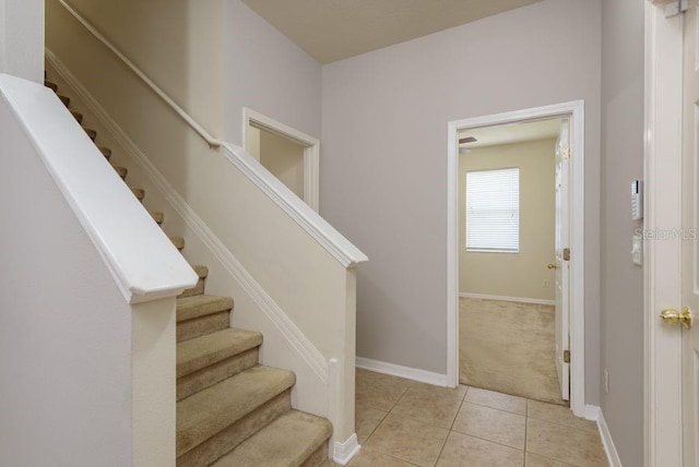 4515 Fieldview Cir, Wesley Chapel, FL 33545 - photo 37