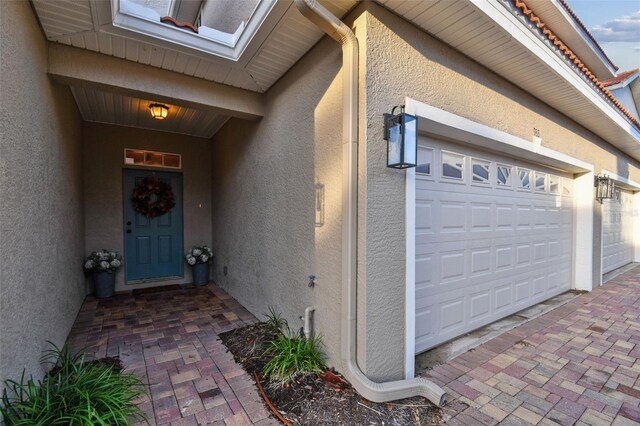 933 Moscato Pl, Palm Harbor, FL 34683 - photo 4