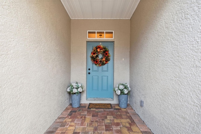 933 Moscato Pl, Palm Harbor, FL 34683 - photo 5