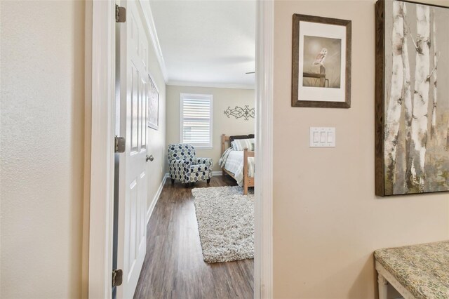 933 Moscato Pl, Palm Harbor, FL 34683 - photo 28