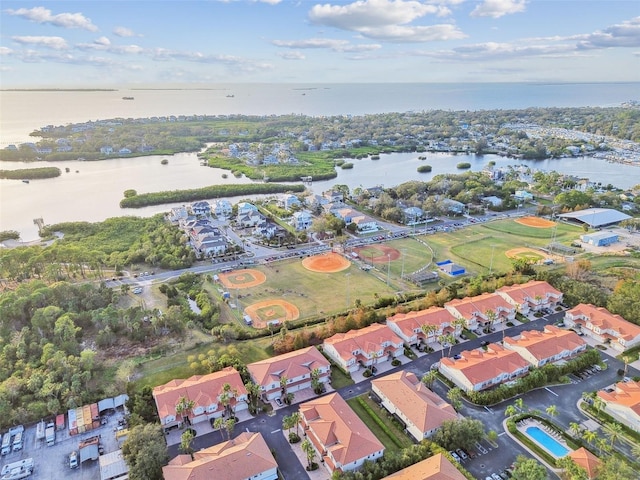 933 Moscato Pl, Palm Harbor, FL 34683 - photo 83