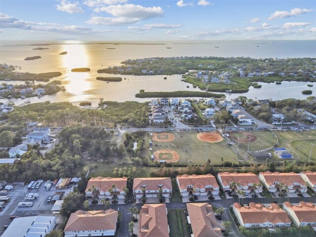 933 Moscato Pl, Palm Harbor, FL 34683 - photo 84