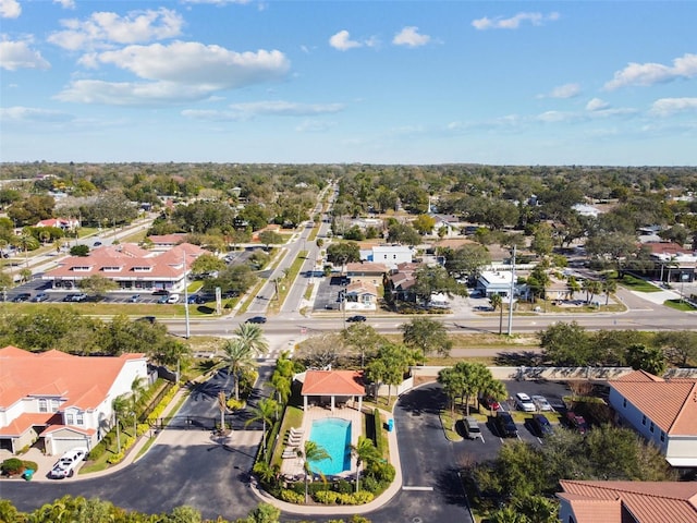 933 Moscato Pl, Palm Harbor, FL 34683 - photo 88