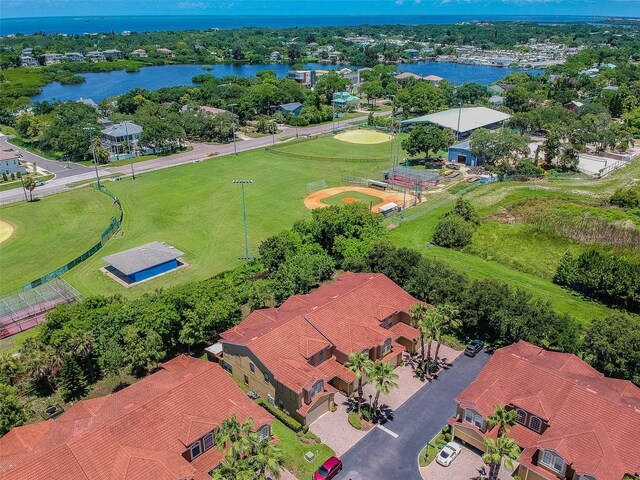 933 Moscato Pl, Palm Harbor, FL 34683 - photo 91