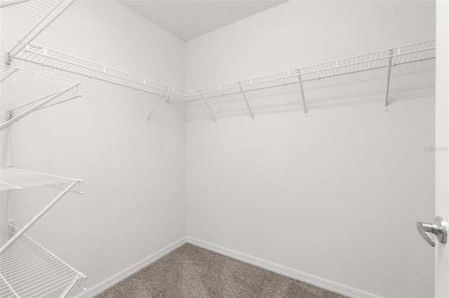 13241 Meadow Golf Ave, Hudson, FL 34669 - photo 21