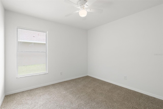 13241 Meadow Golf Ave, Hudson, FL 34669 - photo 22