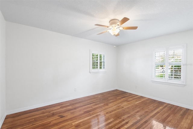 4510 S Lois Ave, Tampa, FL 33611 - photo 13