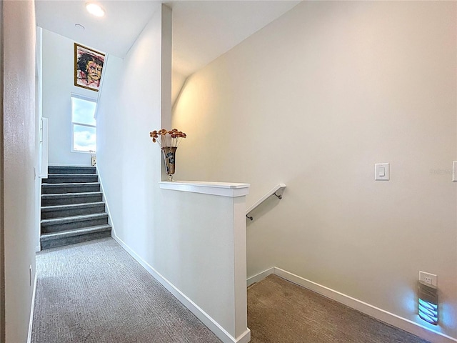 335 8th St N, Saint Petersburg, FL 33701 - photo 32