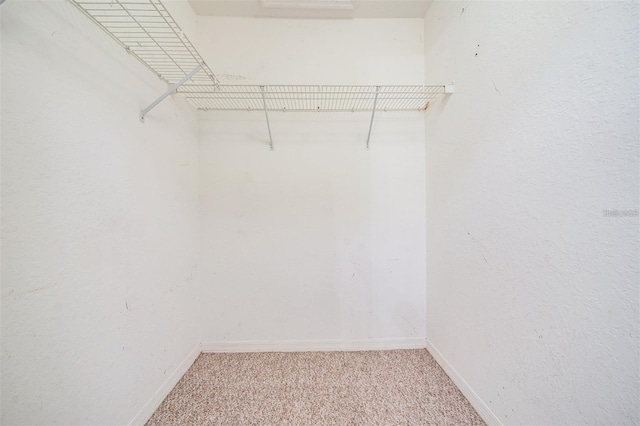 9156 Lake Chase Island Way Unit 9156, Tampa, FL 33626 - photo 17