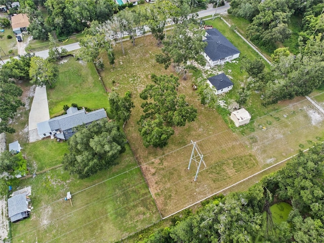 1407 Whitaker Rd, Lutz, FL 33549 - photo 6