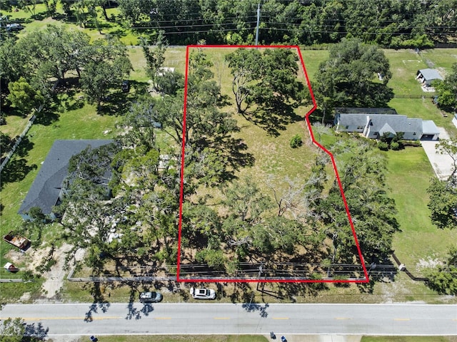 1407 Whitaker Rd, Lutz, FL 33549 - photo 1