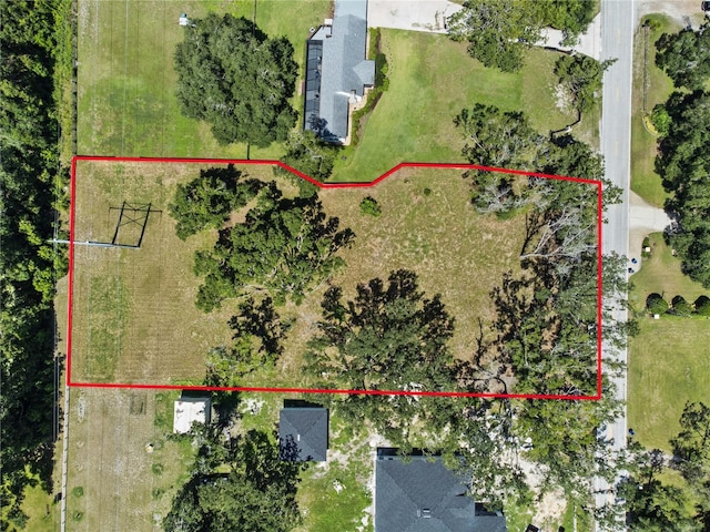 1407 Whitaker Rd, Lutz, FL 33549 - photo 5