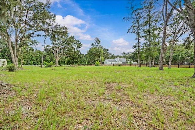 1407 Whitaker Rd, Lutz, FL 33549 - photo 8
