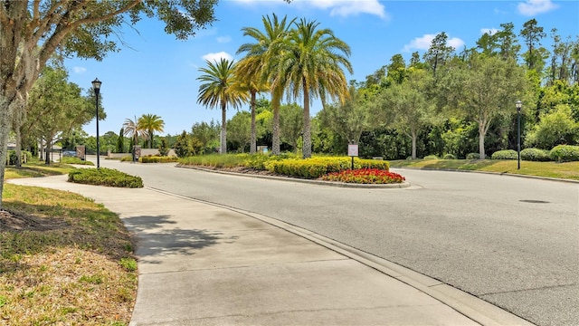 5030 Ivory Stone Dr, Wimauma, FL 33598 - photo 68