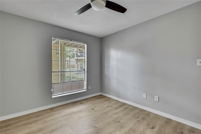 8653 Fancy Finch Dr Unit 104, Tampa, FL 33614 - photo 14