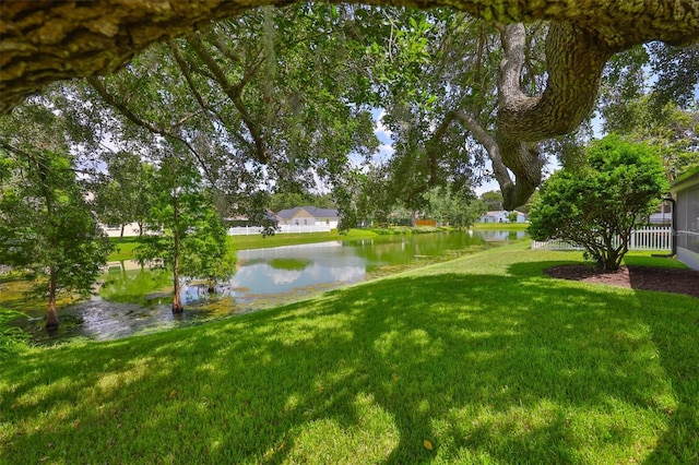7411 Mint Julep Dr, Riverview, FL 33578 - photo 40