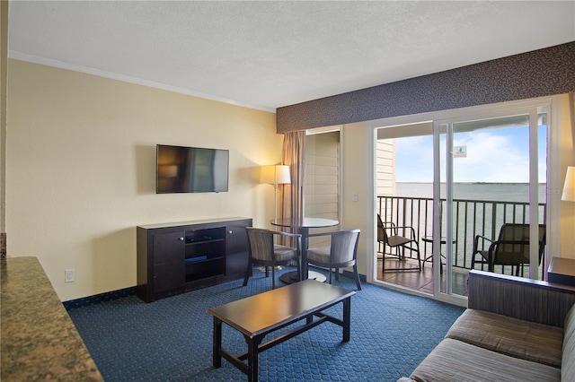 2506 N Rocky Point Dr Unit 424, Tampa, FL 33607 - photo 4