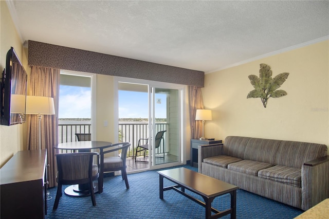 2506 N Rocky Point Dr Unit 424, Tampa, FL 33607 - photo 6