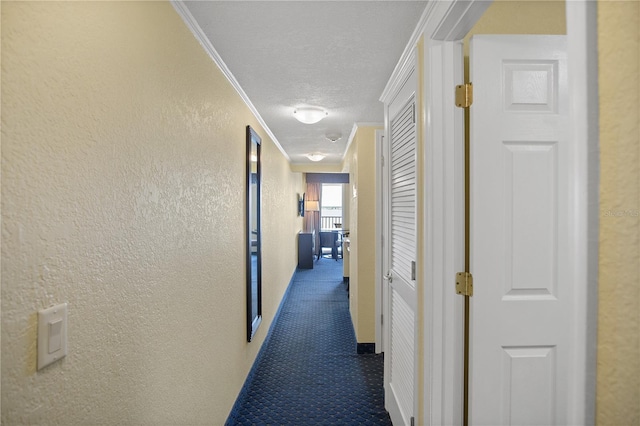 2506 N Rocky Point Dr Unit 424, Tampa, FL 33607 - photo 17
